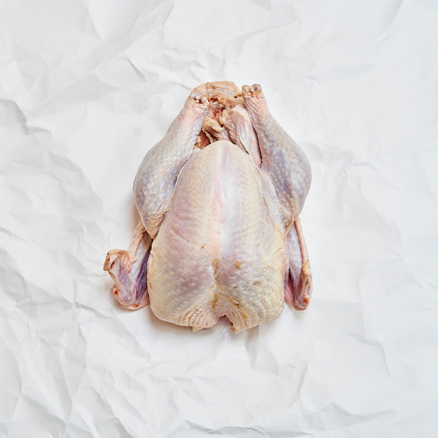 Free Range Turkey