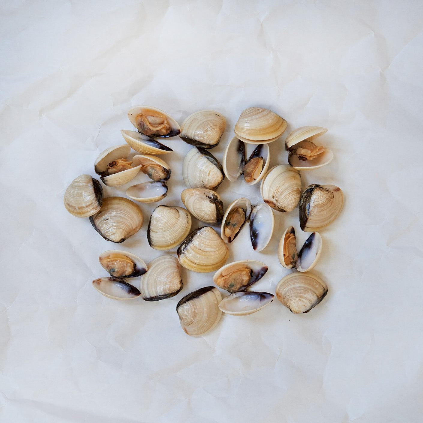 Hardshell Clams