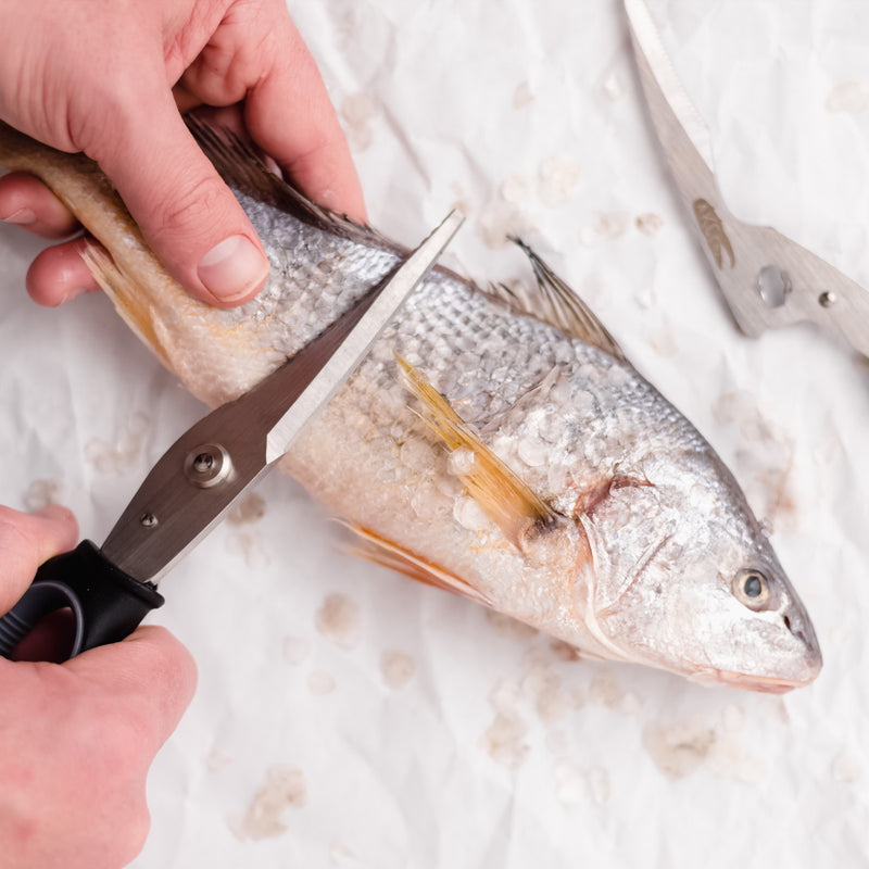 Person cutting a fish with scissors on a marble surface