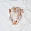 Whole Turkey