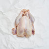 Whole Raw Turkey