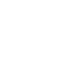 grill icon