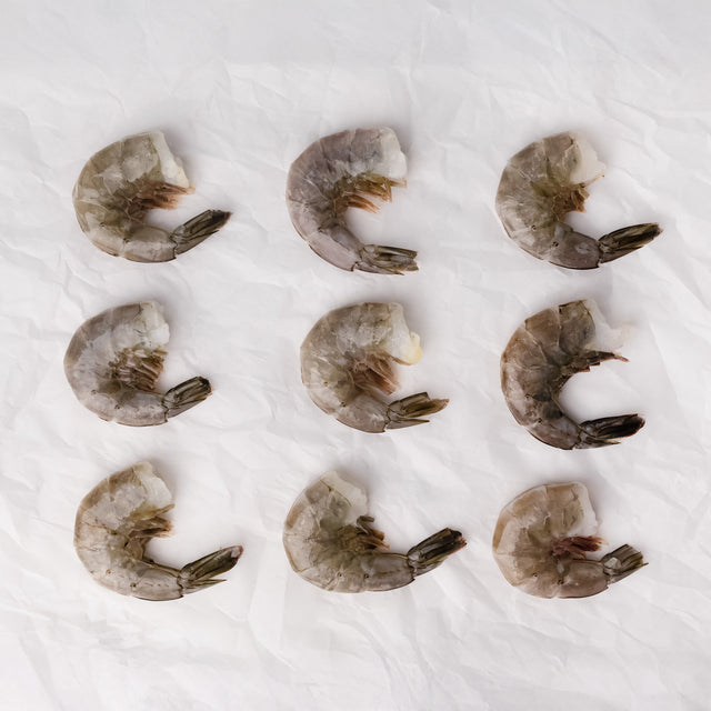 Oishii U12 Shrimp