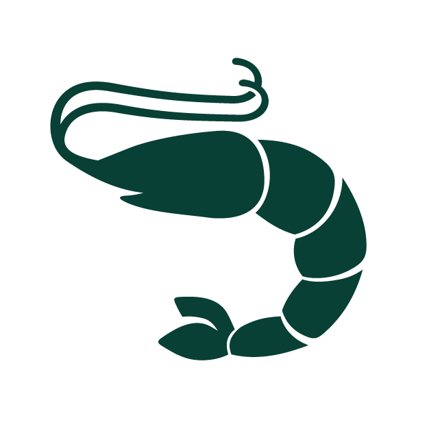 Shrimp & Prawns