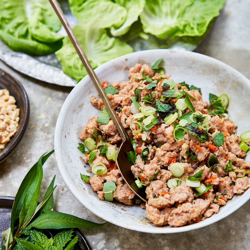  bowl of ground chicken mixture with vegetables on a table with green leaves