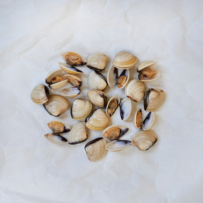 Hardshell clams on parchment paper