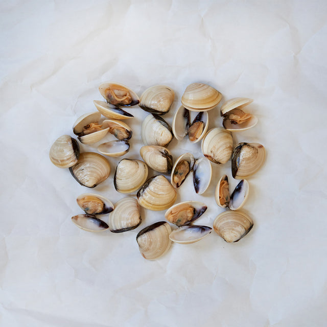 Hardshell clams on parchment paper