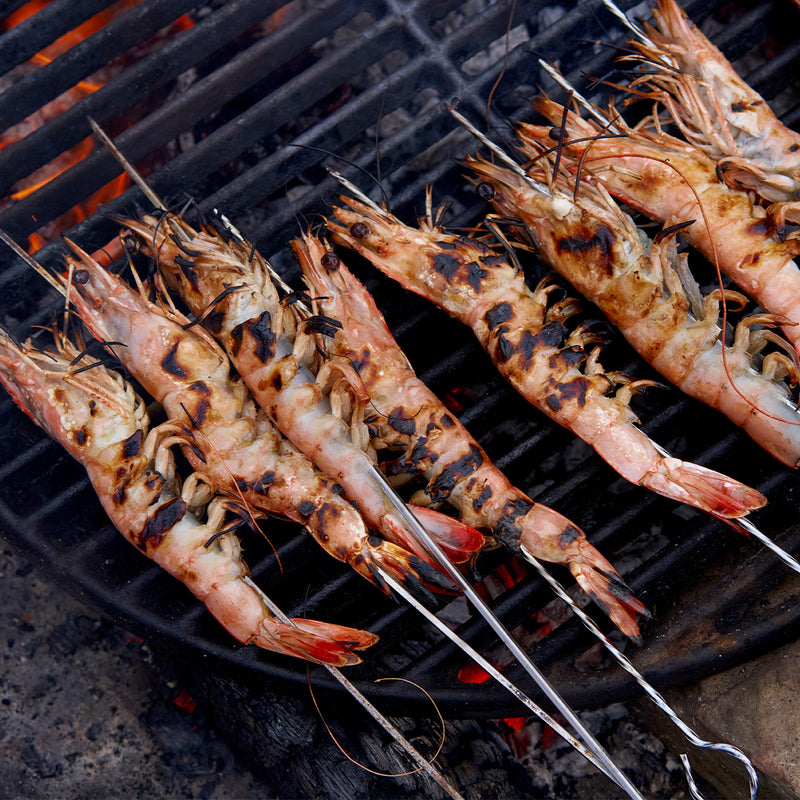 New Caledonia Blue Prawns on steel skewers on the grill
