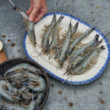 New Caledonia Blue Prawns being prepared on the skewers. They are being placed on skewers longways