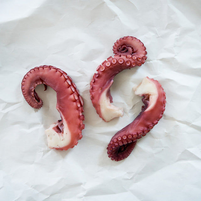 Three octopus tentacles