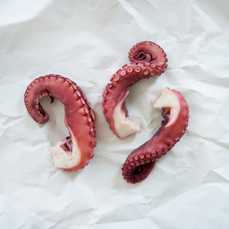 Three octopus tentacles