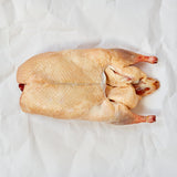 A whole Moulard duck on parchment paper 