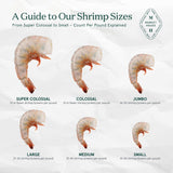 Shrimp Diagram
