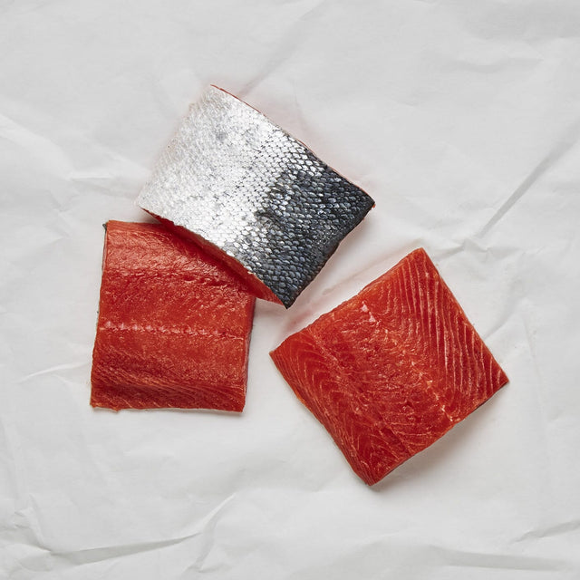 Sockeye Salmon