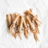 Norway Lobster (Langoustines)